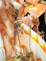 carnaval 13